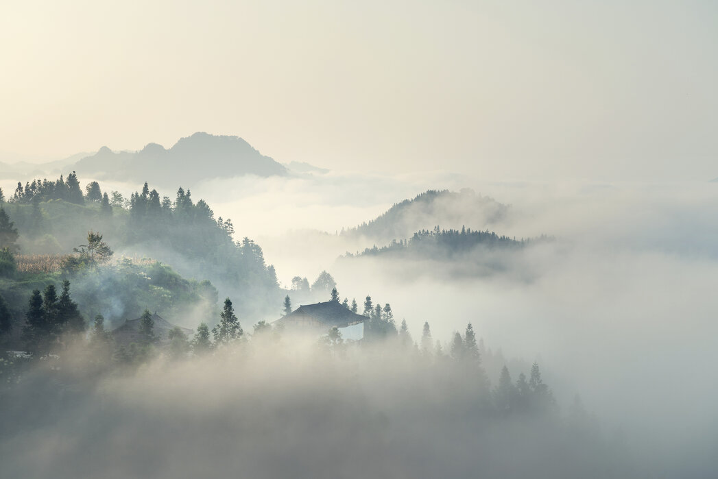 The mist over the mountains