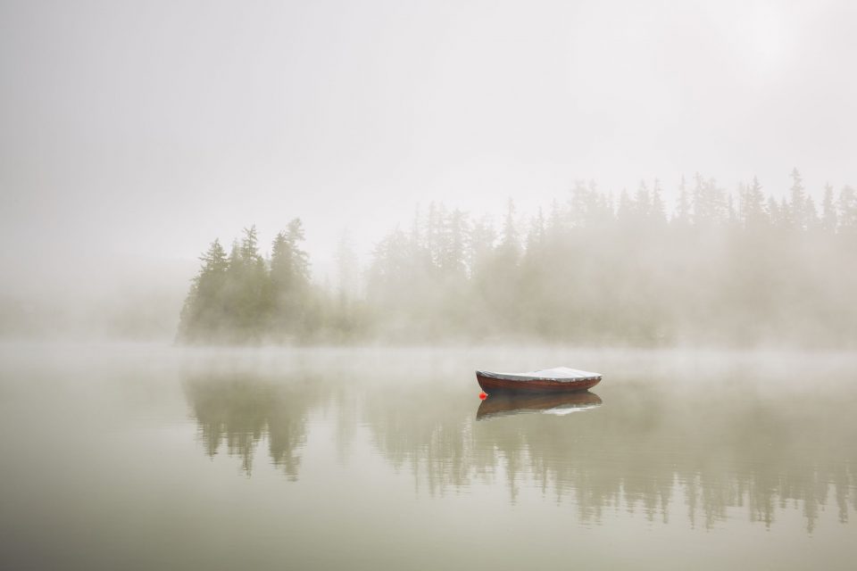 The mist